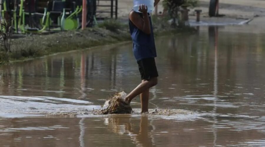 período chuvoso Especialistas dão dicas sobre como evitar a contaminação pela virose da mosca