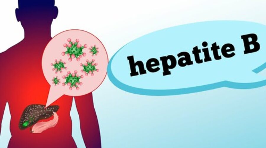 HEPATITE B: sintomas, fases, contaminação e prevenção